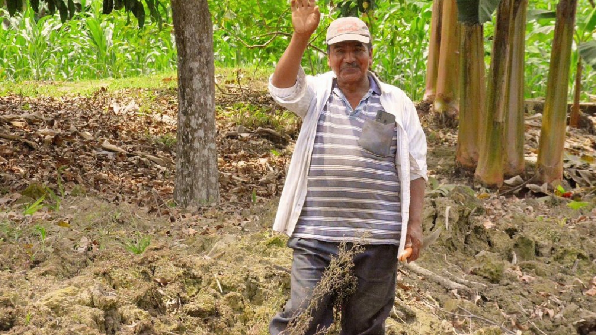 Drenaje de fincas un apoyo para la reactivación productiva