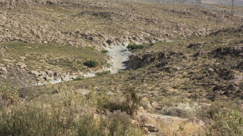 Arequipa: Lanzan el primer proyecto para la recuperación de ecosistemas desérticos