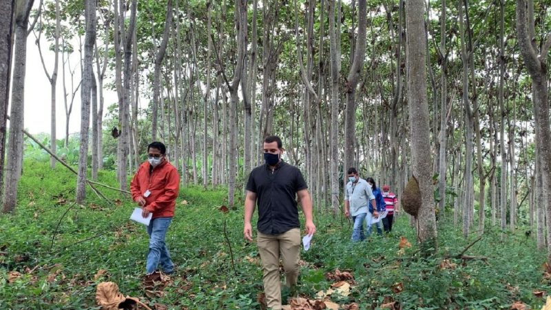 Brigadas técnicas del MAG socializan normativa para plantaciones forestales