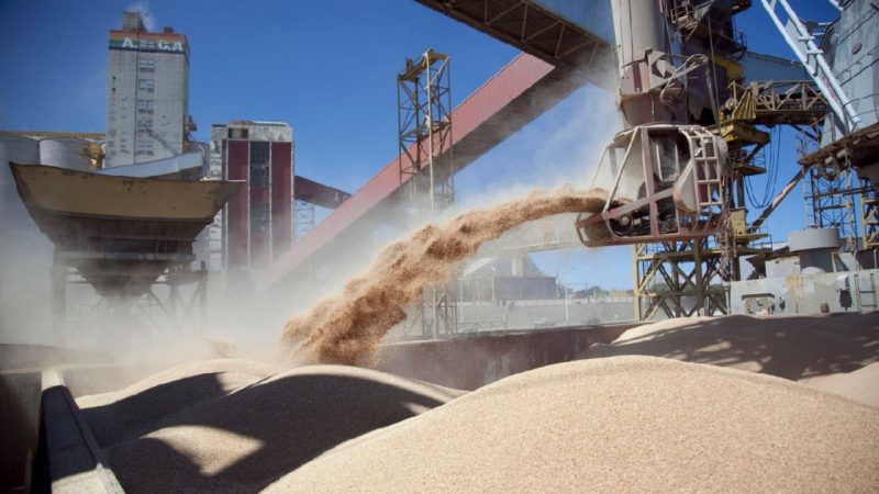 Exportadores de granos deberán liquidar divisas como máximo en 15 días para mantenerse en el registro oficial