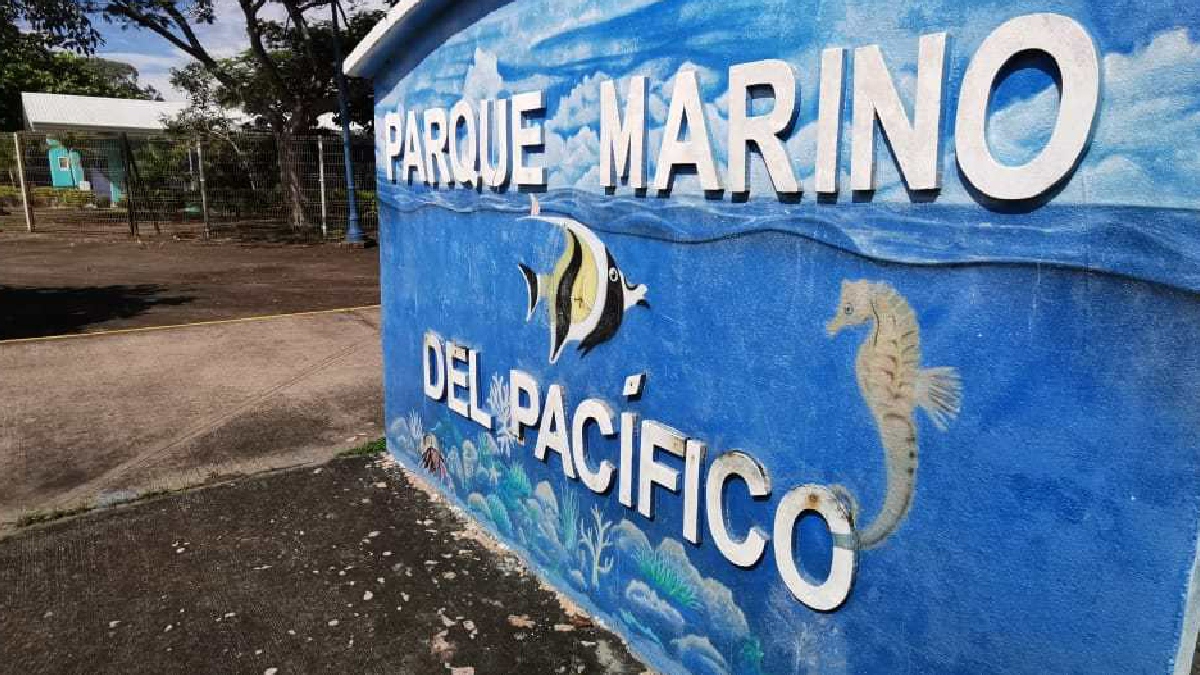 Granjas marinas buscan ayudar económicamente a las familias costeras del Pacífico