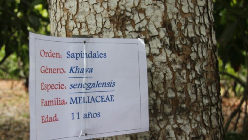 Hasta $25 millones en inversiones para sector forestal llegarían a Ecuador, a través de acuerdo