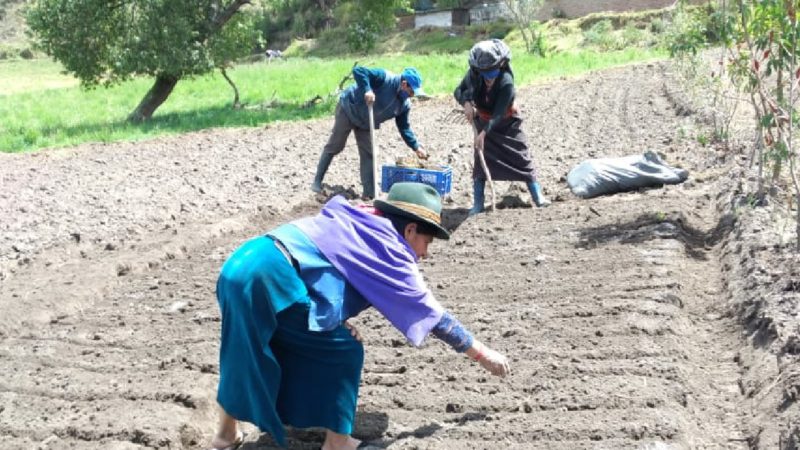 Innovación Agrícola
