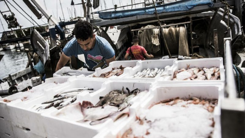 Las pesquerías del Mediterráneo y el Mar Negro están superando la sobreexplotación