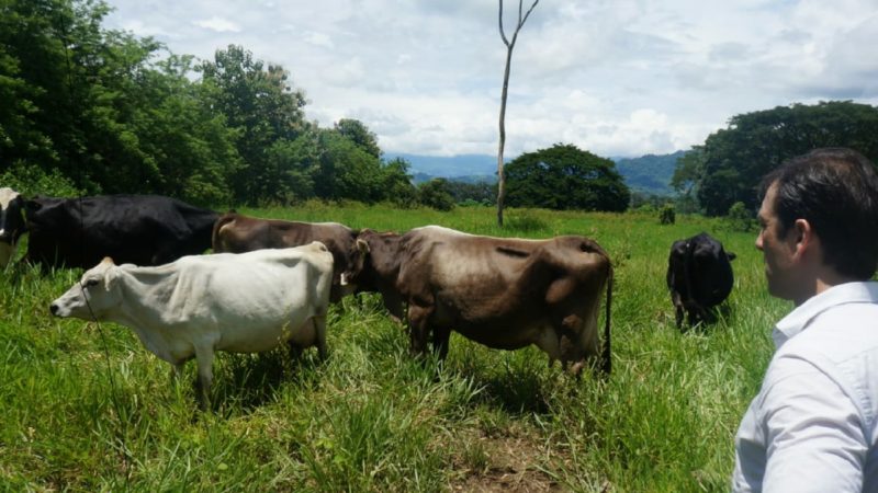MAG, CNT y Agrocalidad analizan sistemas tecnológicos para evitar abigeato