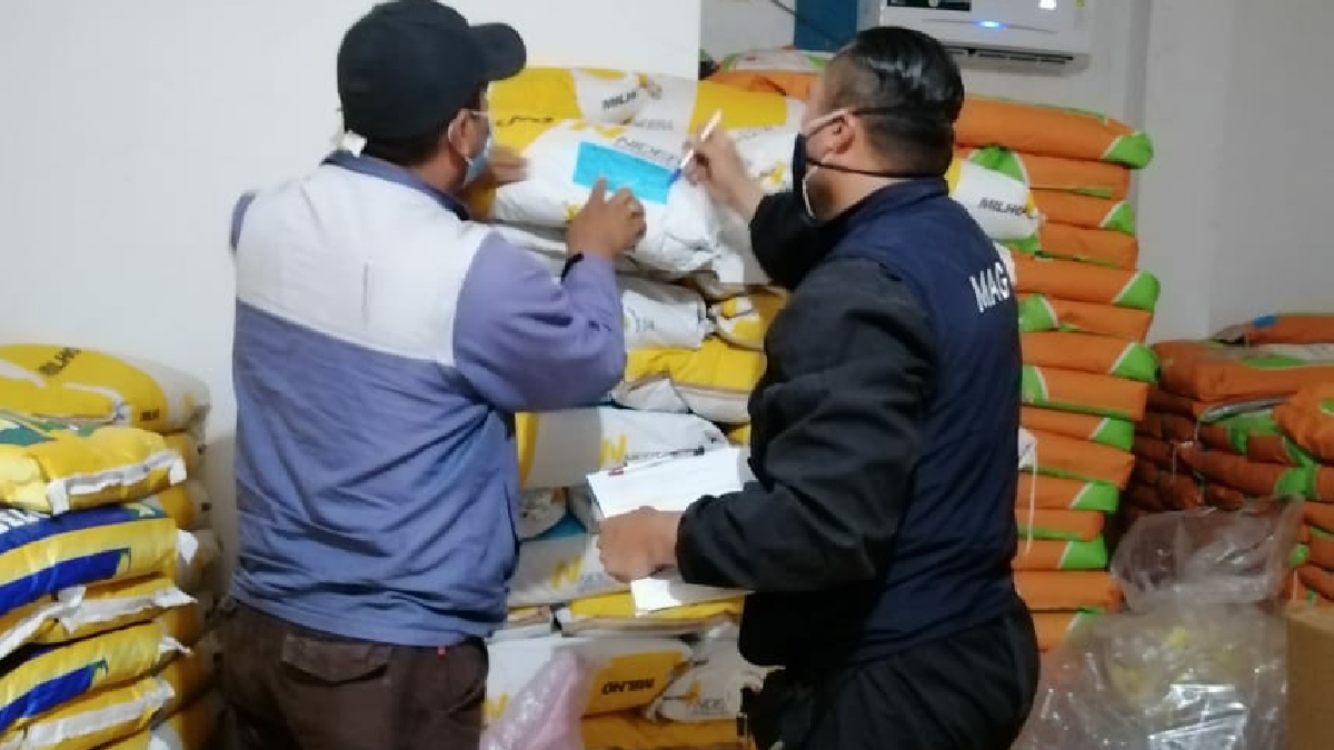 MAG realiza operativos de control para evitar venta de semilla adulterada