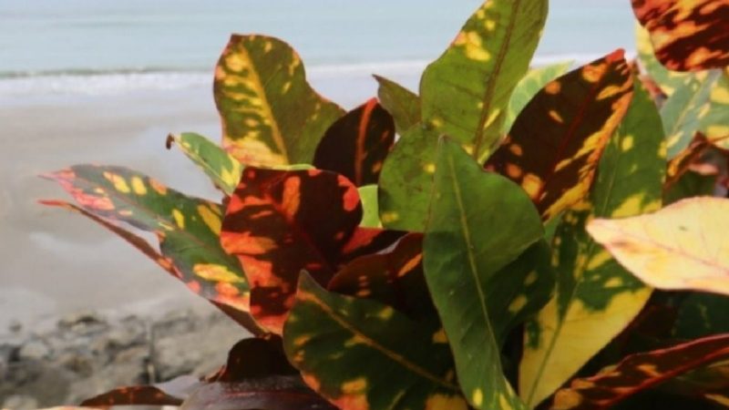 Prefectura entrega un Plan Comunitario de Riesgos Climáticos al GAD Parroquial de Galera.