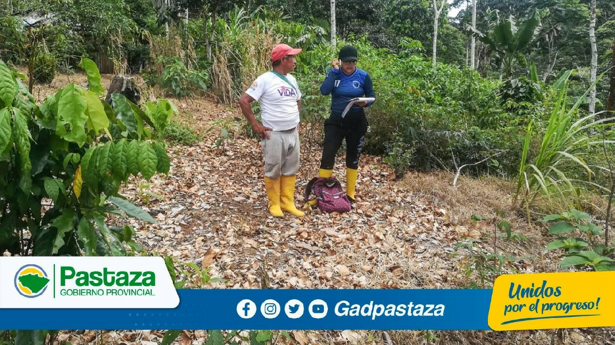 Prefectura impulsa nuevas alternativas de producción con el cultivo de la balsa