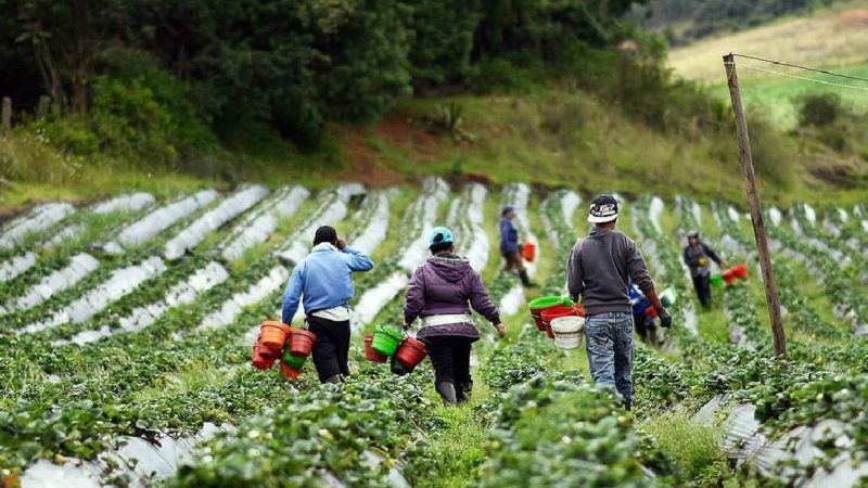 Proyectos ambientales en América Latina reciben nuevos recursos