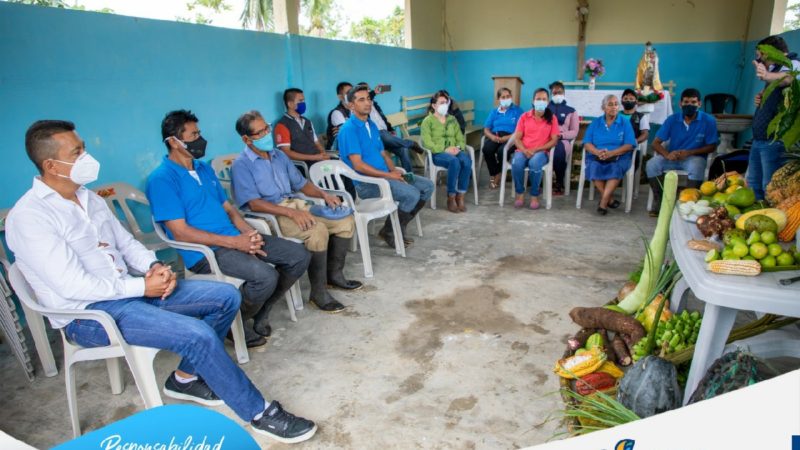 Proyectos de cooperación internacional en marcha