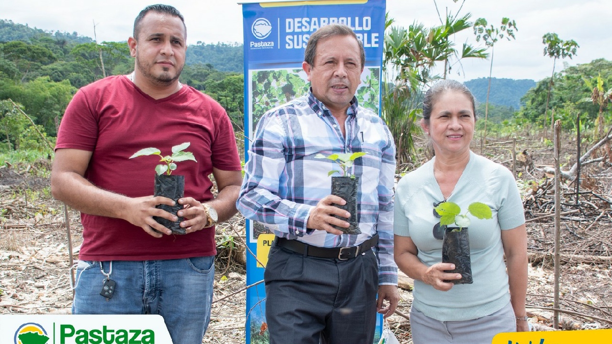 Se impulsa la producción de la balsa con fines comerciales para mejorar la economía del sector rural