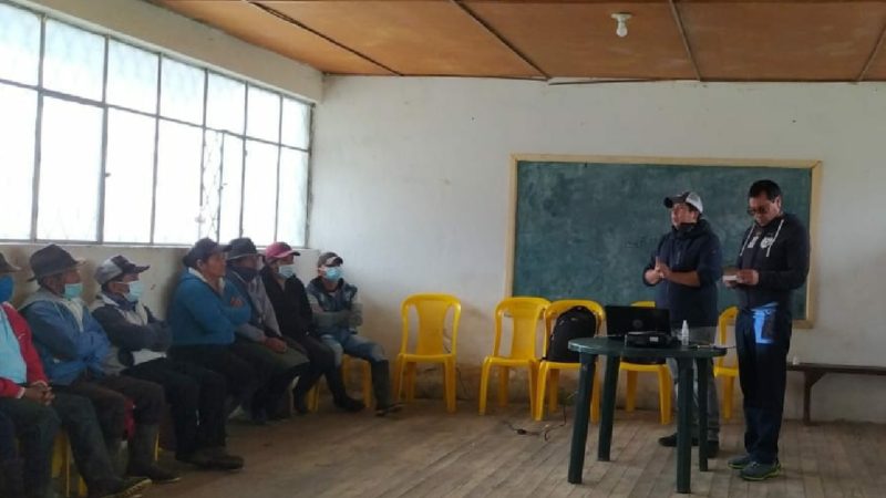 Se realiza campaña de vitaminización a bovinos