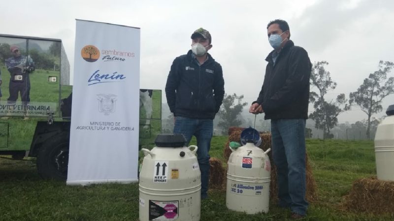 Con entrega de pajuelas, MAG impulsa el mejoramiento genético bovino