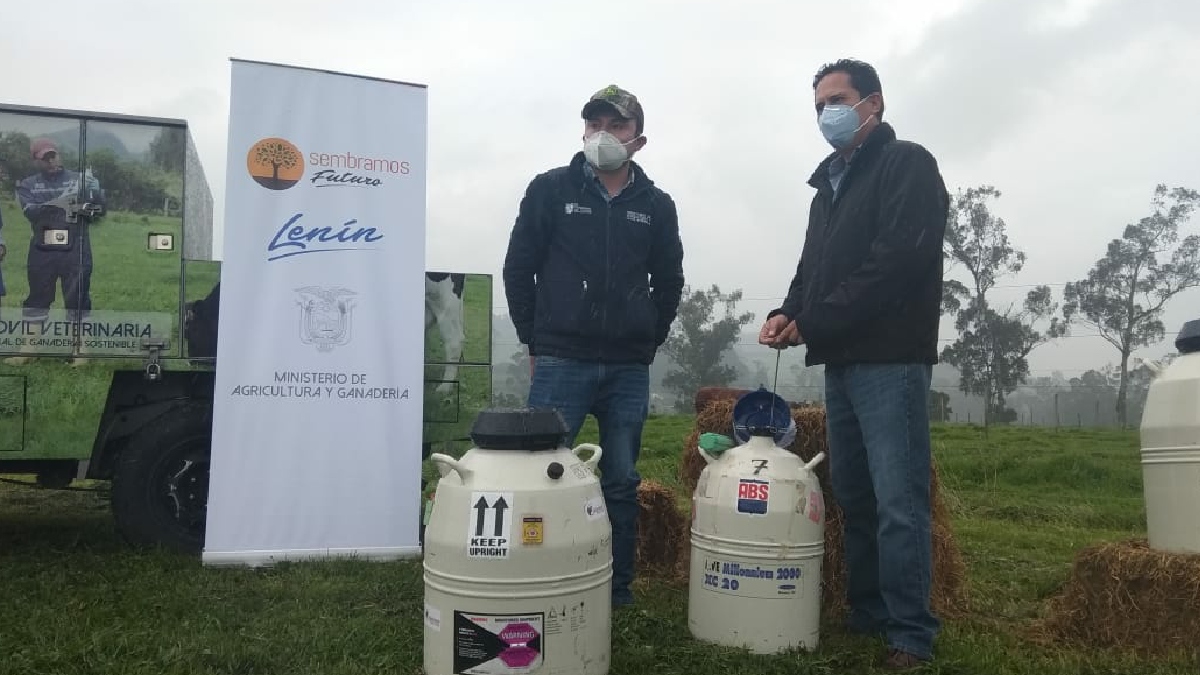 Con entrega de pajuelas, MAG impulsa el mejoramiento genético bovino