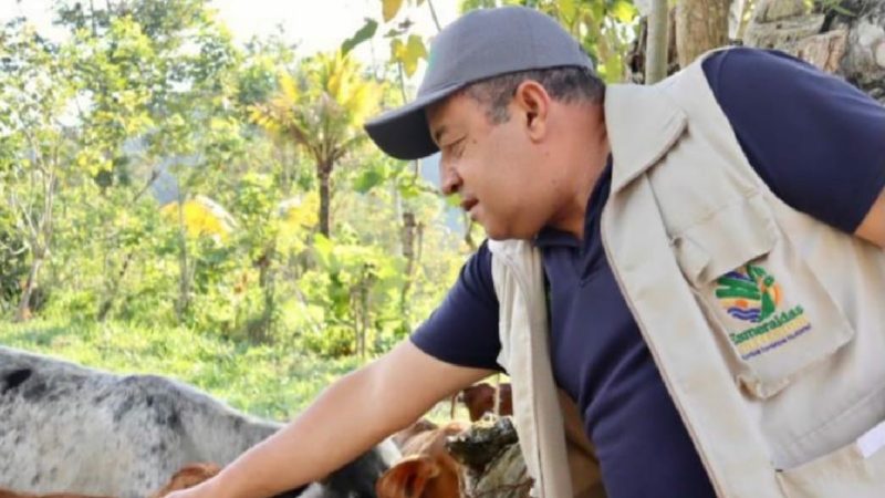 Fomentamos los sistemas de mejoramiento genético