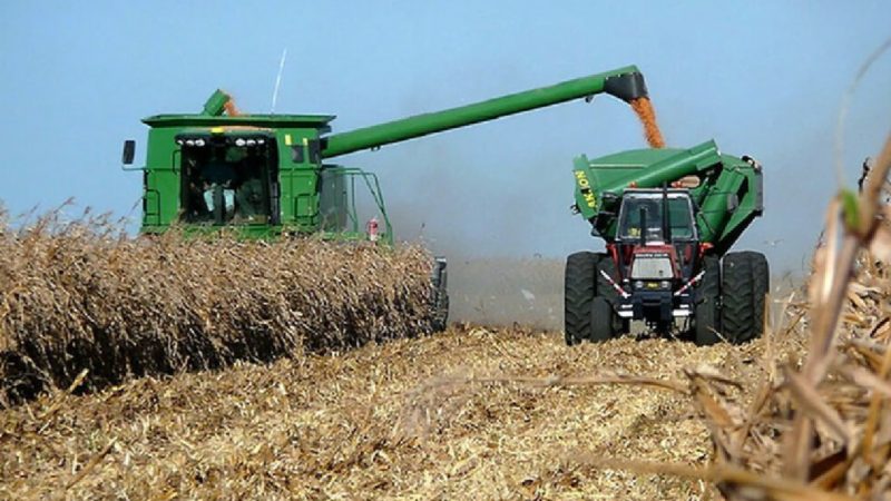Gobierno argentino reautoriza exportaciones de maíz