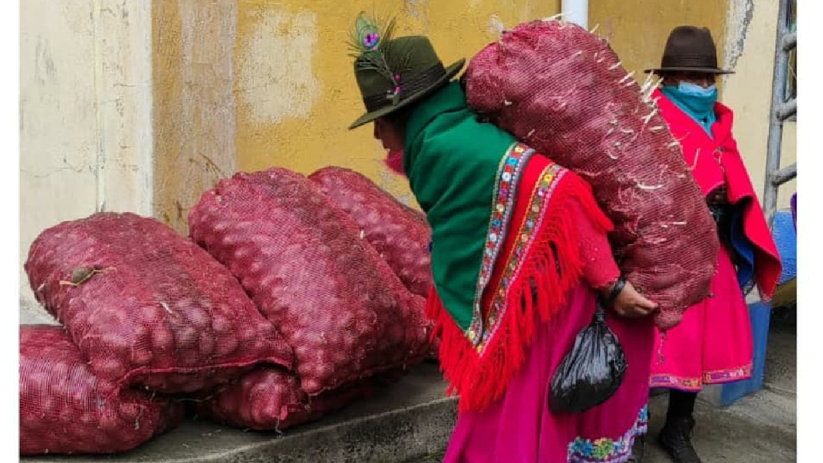 Prefectura entrega semillas certificadas en Alausí