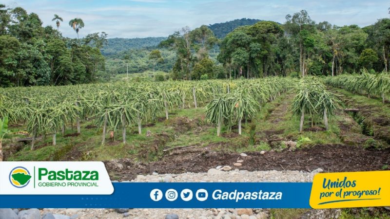 Seguimos generando más obras