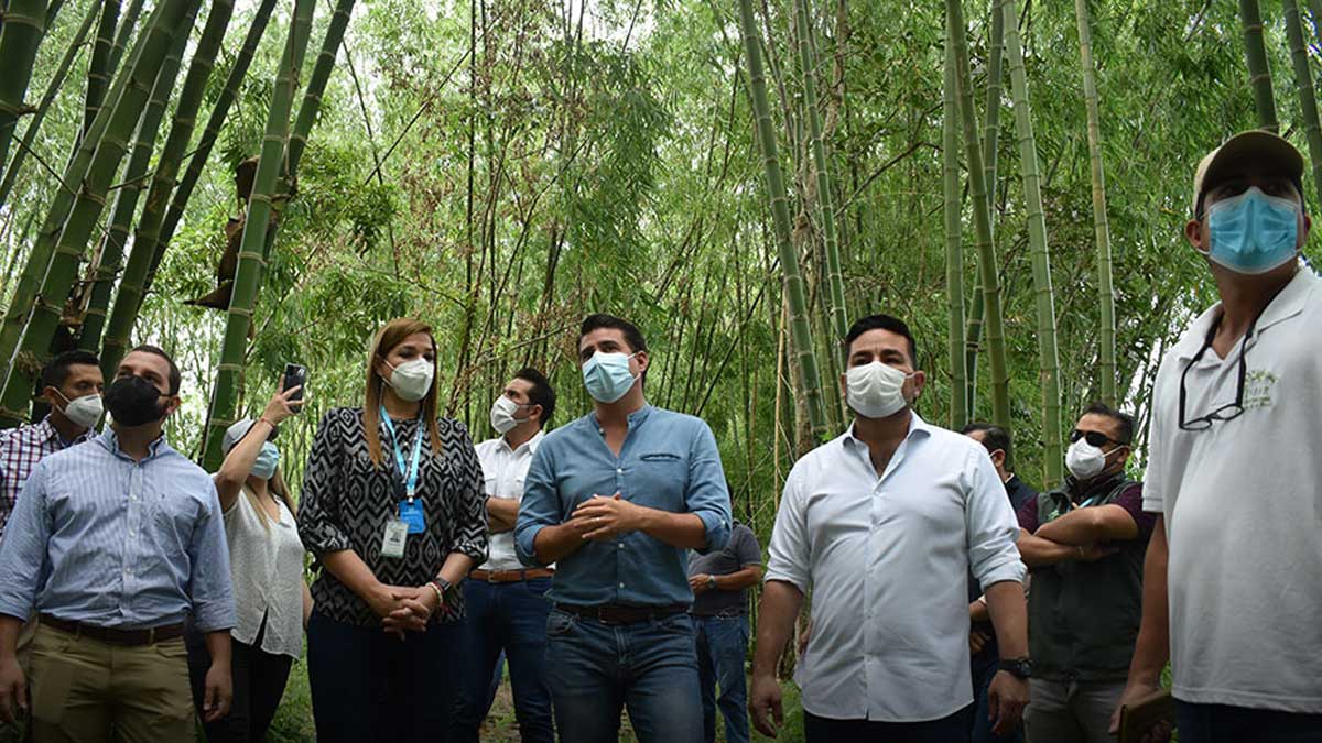 Actividades en territorio que benefician a los productores de la zona de Manabí