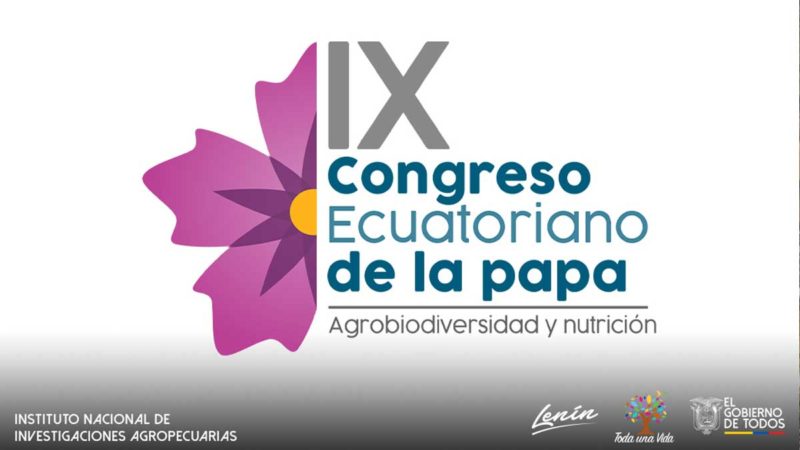 El IX Congreso Ecuatoriano de la Papa presentará los avances tecnológicos en la producción de este importante tubérculo andino