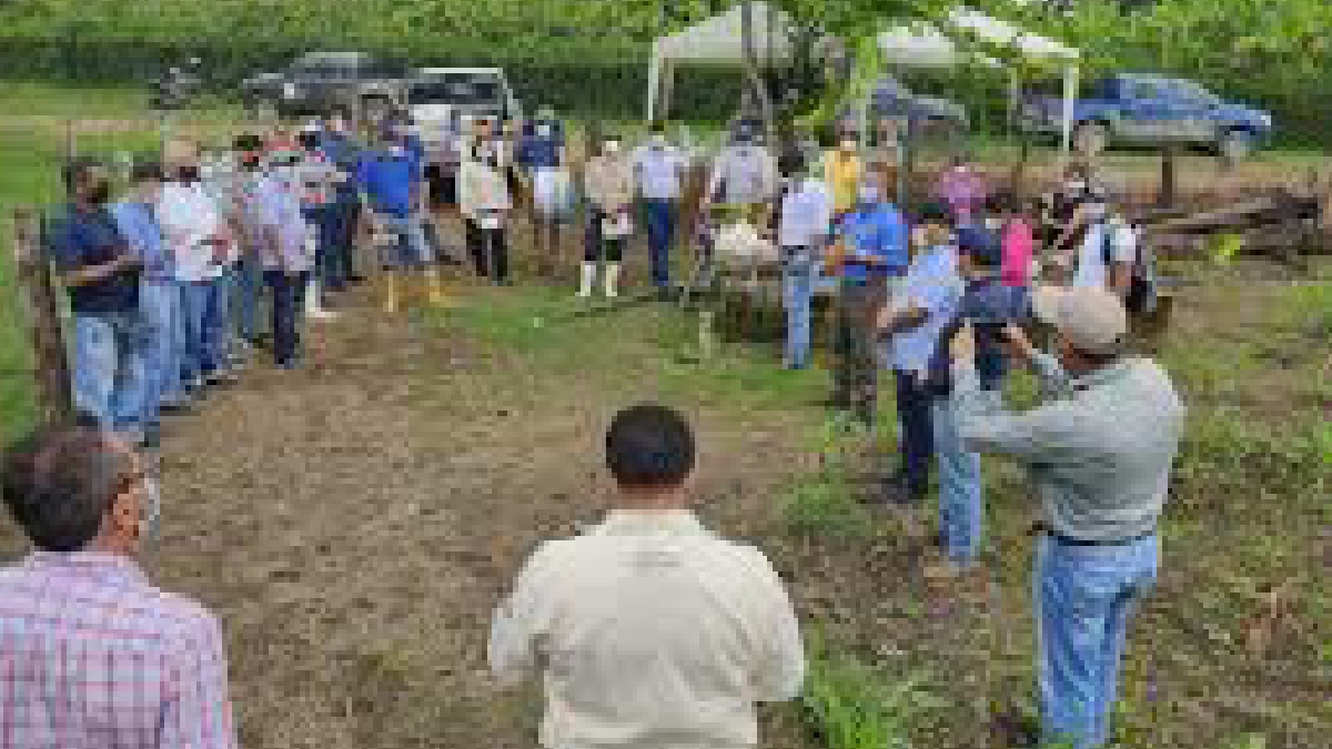 MAG realiza programa “Buen líder rural de dirigente a gerente”