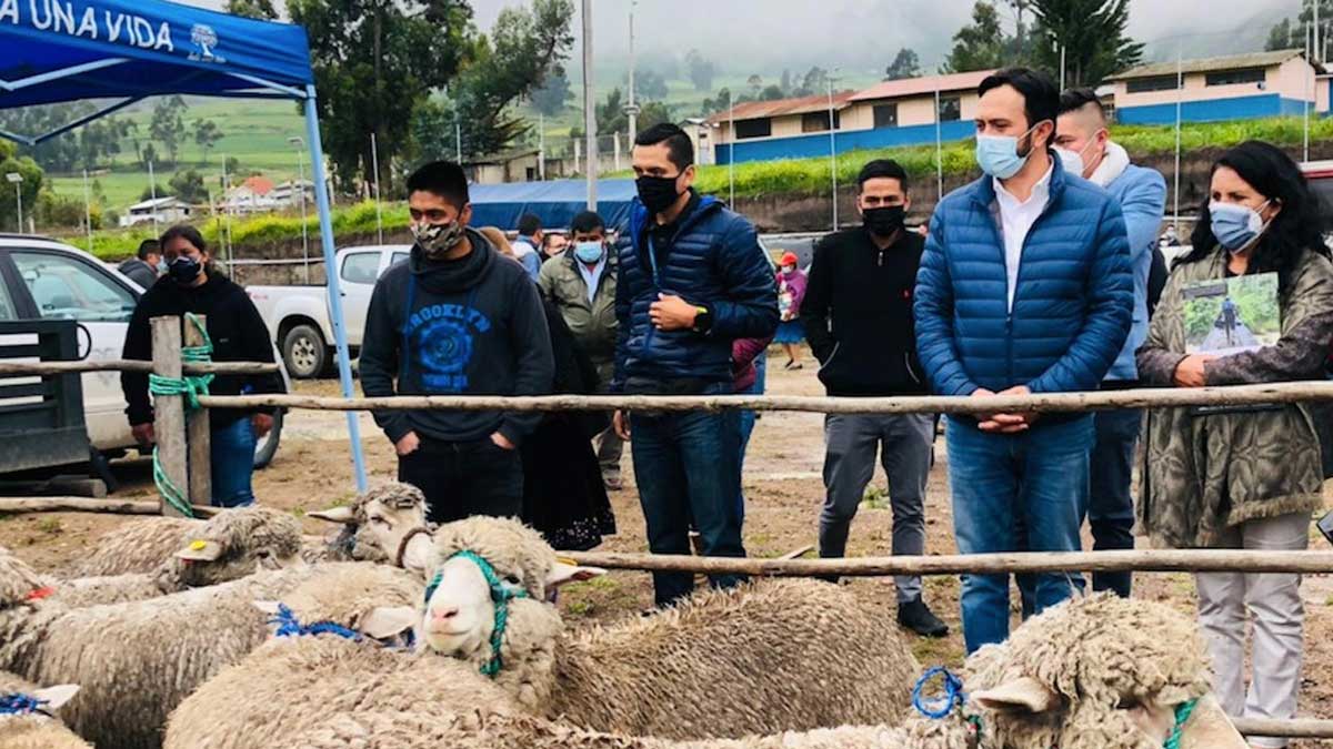 Productores del Cañar reciben escrituras y paquetes tecnológicos pecuarios