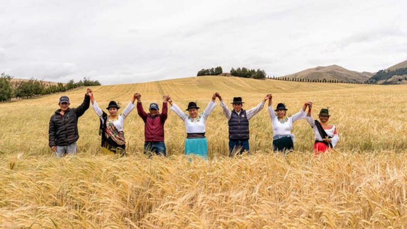 CERVECERIA NACIONAL CONTINUA TRABAJANDO PARA EL SECTOR DEL AGRO ECUATORIANO