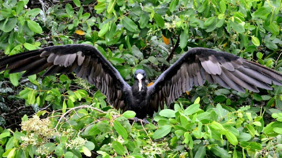 ECUADOR TRABAJA POR UNA CONVIVENCIA ARMÓNICA CON LA NATURALEZA