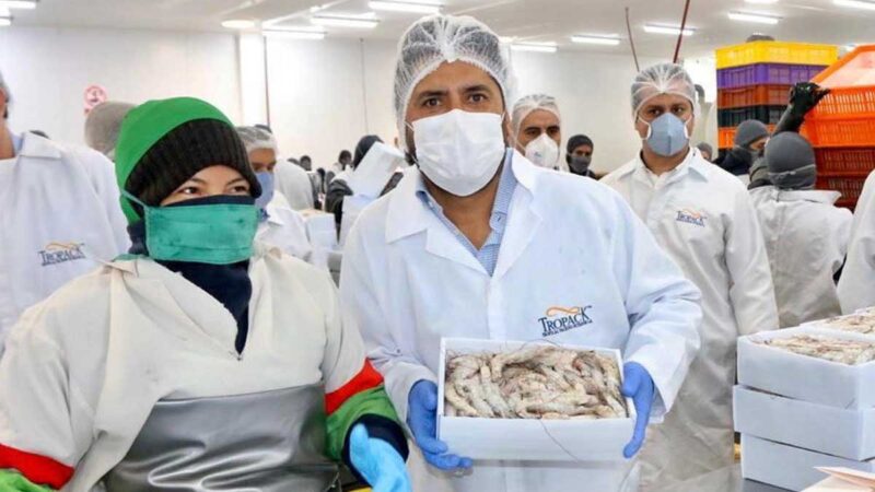 EL CAMARÓN ECUATORIANO ENTRA CON FUERZA EN ESTADOS UNIDOS EN MOMENTOS EN QUE LAS VENTAS CAEN CON CHINA