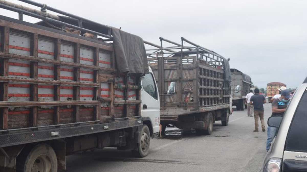 FERIA GANDERA DE SANTO DOMINGO CERRADA POR 30 DÍAS