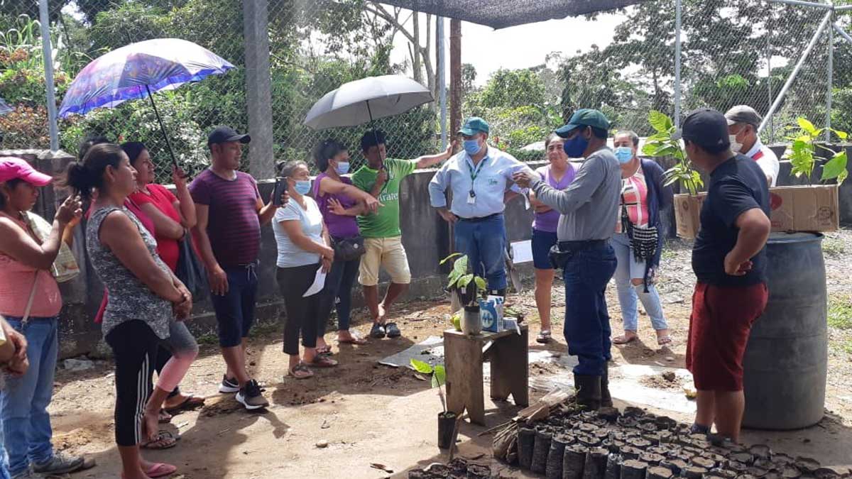 INIAP CONTINUA TRABAJANDO EN BENEFCIO DE LOS AGRICULTORES