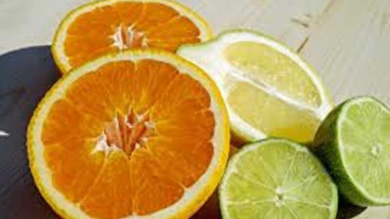 ARGENTINA Y PERÚ AVANZAN EN COMERCIALIZACIÓN DE CÍTRICOS