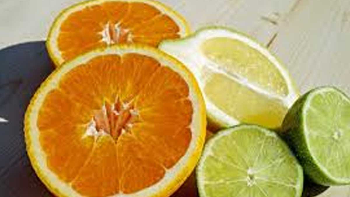 ARGENTINA Y PERÚ AVANZAN EN COMERCIALIZACIÓN DE CÍTRICOS