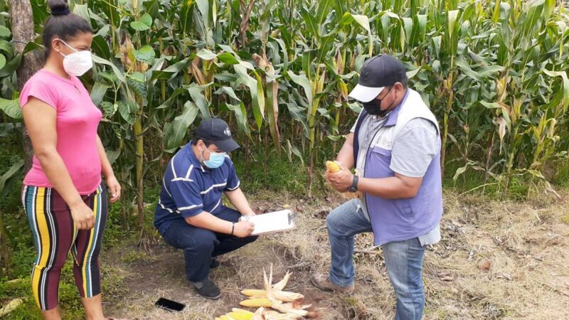 MAG Y GOBIERNOS PROVINCIALES UNEN ESFUERZOS PARA LEVANTAR INFORMACIÓN ESTADÍSTICA EN EL SECTOR AGROPECUARIO