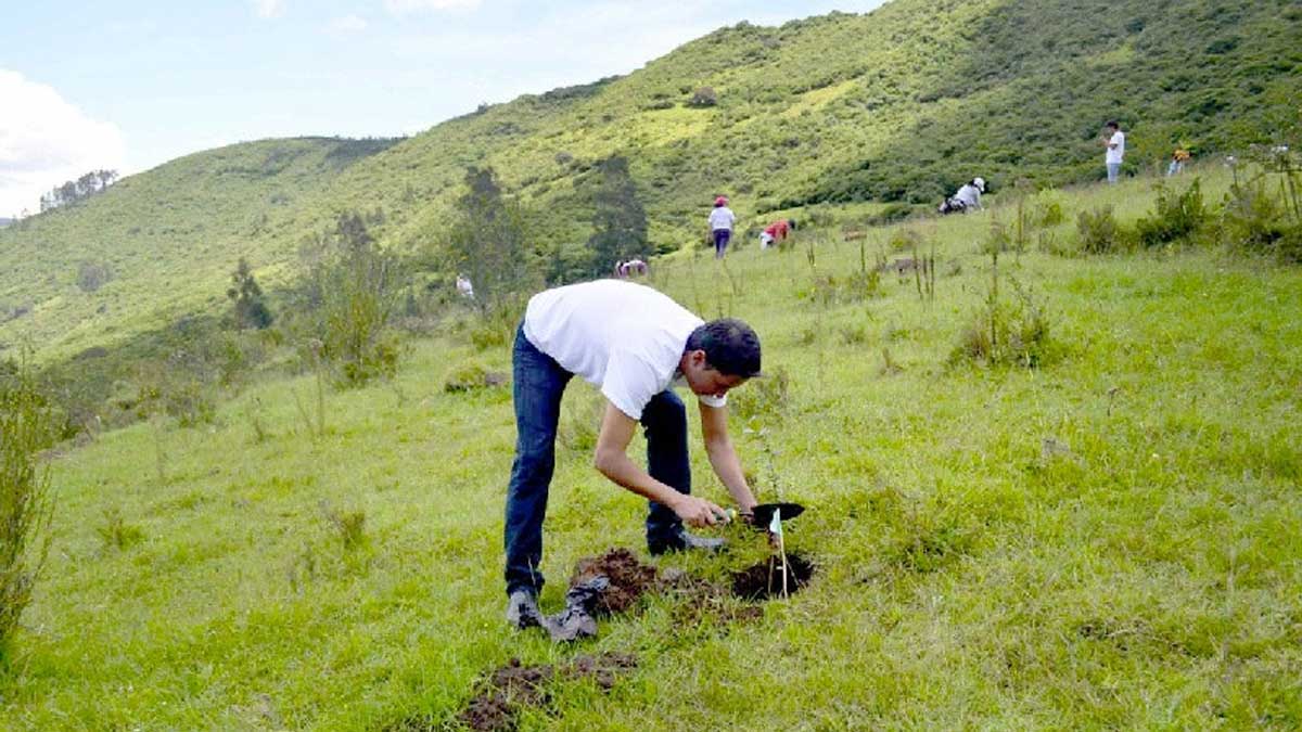 PLANTAR 100.000 ÁRBOLES EN LA AMAZONÍA ECUATORIANA SERÁ POSIBLE GRACIAS A LA CAMPAÑA JUNTOS POR LA TIERRA
