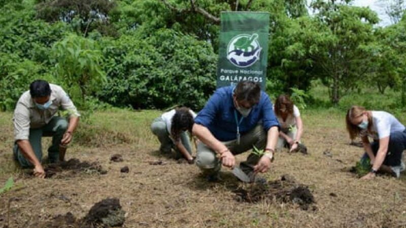 POR EL DÍA INTERNACIONAL DE LA TIERRA SE REALIZÓ RESTAURACIÓN ECOLÓGICA EN GALÁPAGOS