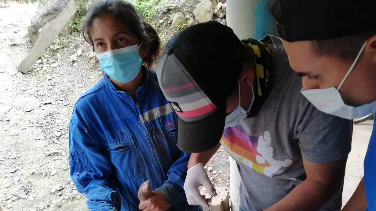 Productores de Bolívar son capacitados en Seguros Ganaderos