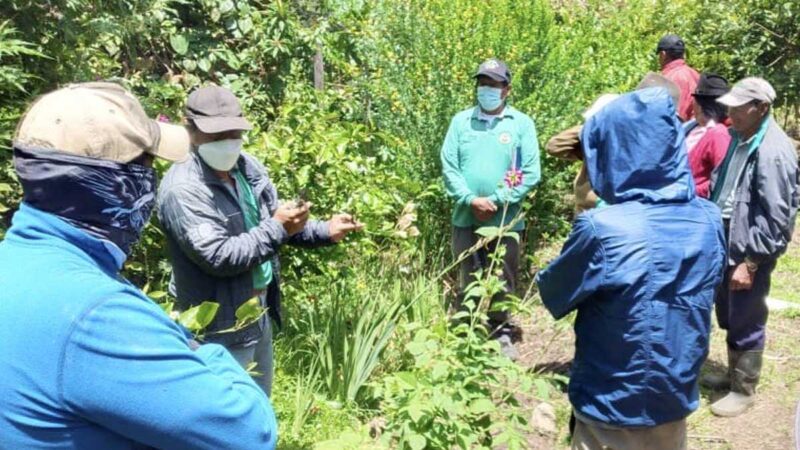 PRODUCTORES DE IMBABURAN SE CAPACITAN