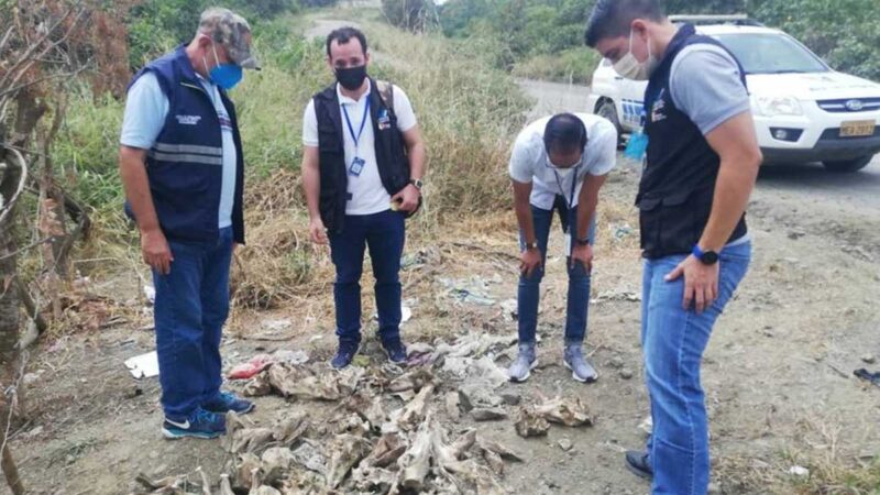 AGROCALIDAD DESMIENTE QUE CRÁNEOS HALLADOS EN VÍA MANABITA SEAN DE PERROS