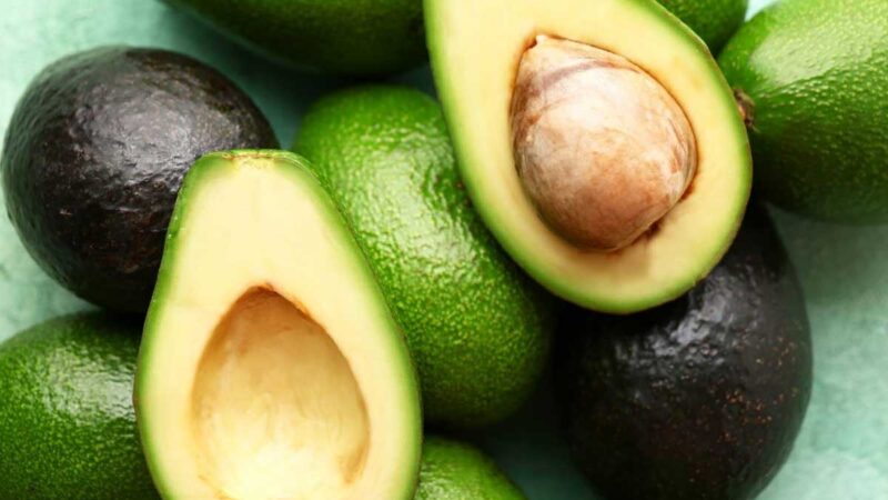 COLOMBIA: AGUACATE, CAFÉ, FLORES Y BANANO ESTÁN EN RIESGO DE PERDER COSECHAS DE EXPORTACIÓN