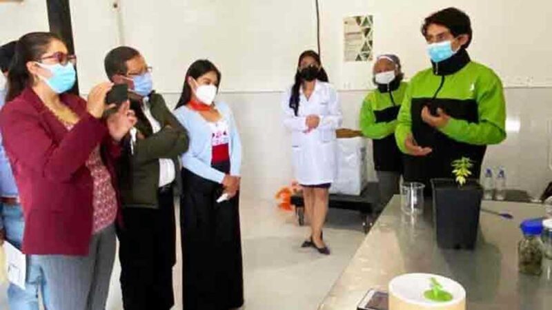 CULTIVO Y PRODUCCIÓN DE CÁÑAMO ARRANCA EN CINCO PROVINCIAS