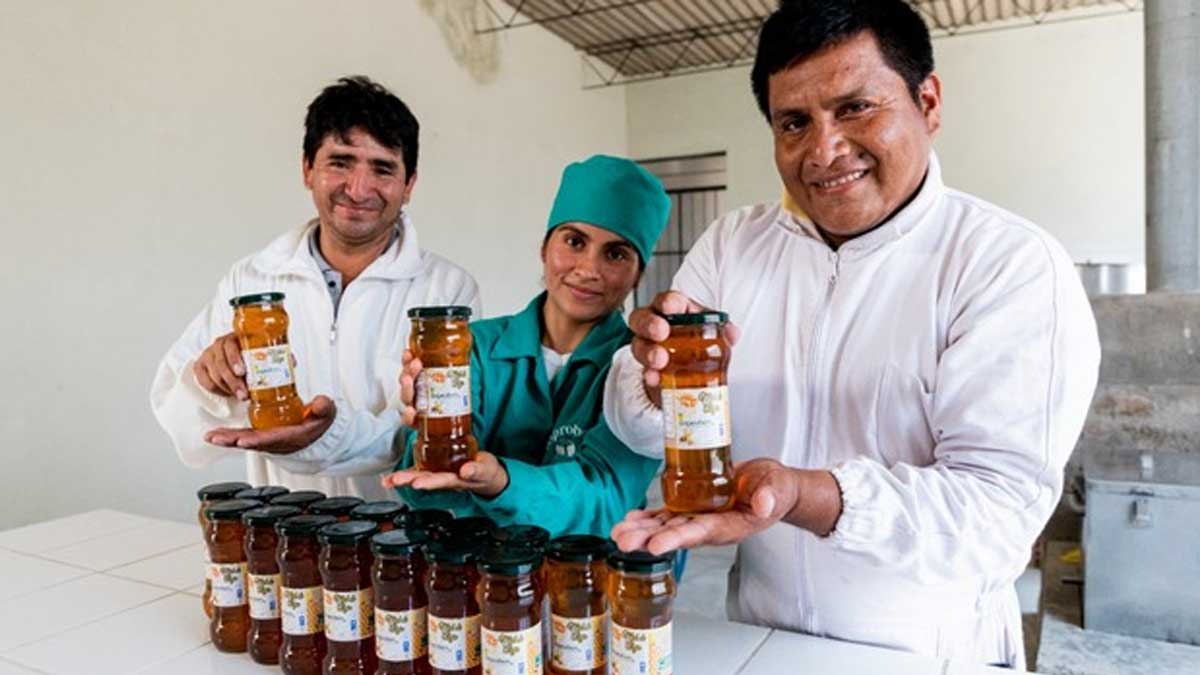 EN PERÚ EXISTEN MÁS DE 40 MIL PRODUCTORES APÍCOLAS QUE TRABAJAN LA MIEL DE ABEJA EN 300 MIL COLMENAS A NIVEL NACIONAL