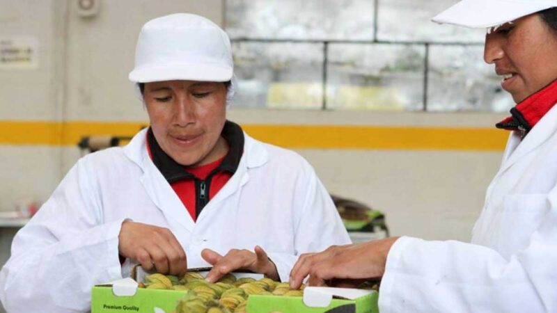 EXPORTADORES TRAZAN EXPECTATIVAS POR CAMBIOS PARA ENVIAR PEQUEÑAS CANTIDADES EN CATEGORÍA DE COURIER