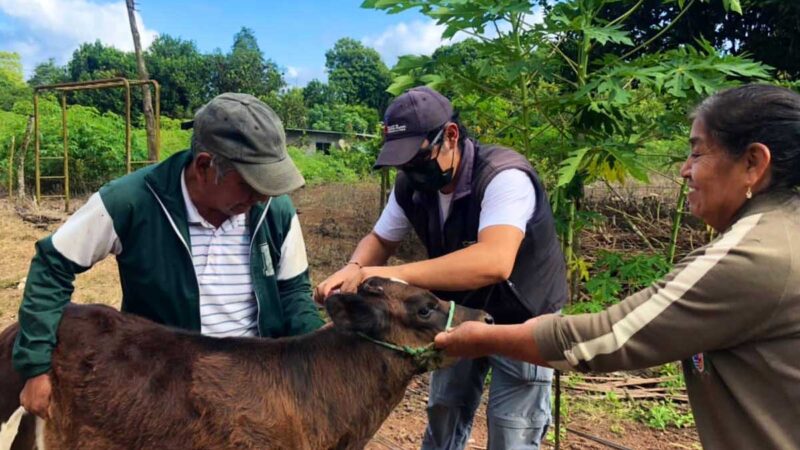 GALÁPAGOS IMPULSA PROYECTOS SOSTENIBLES