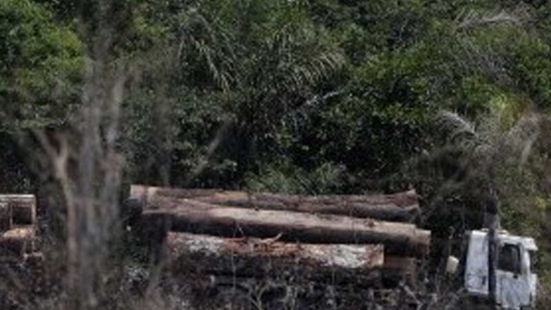 GREENPEACE BLOQUEA UN ALMACÉN EN FRANCIA POR LA DEFORESTACIÓN EN BRASIL