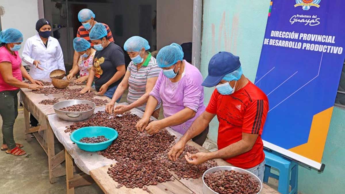 INIAP SE POTENCIALIZA EN MATERIALES DE PALMA E IMPULSA EL DESARROLLO DE HUERTOS