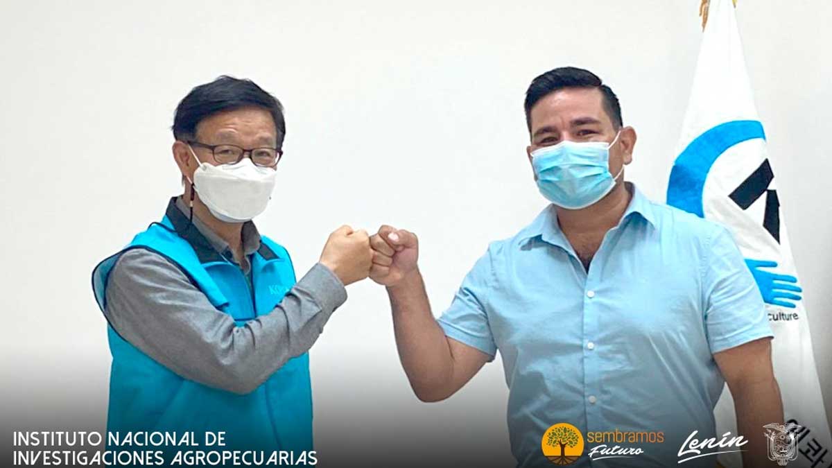 INIAP Y KOPIA SOCIALIZAN PROYECTO SOBRE CAMOTE