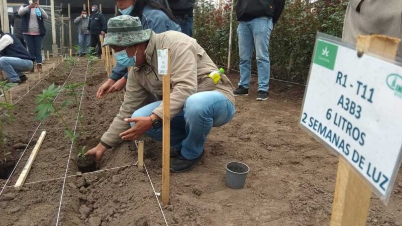 MAG FORTALECE CONOCIMIENTOS SOBRE INDUSTRIALIZACIÓN DEL CÁÑAMO
