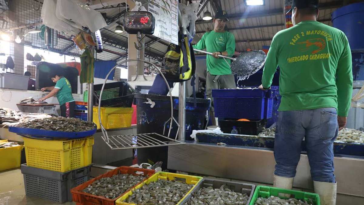 PRECIOS ALTOS EN ALGUNAS VARIEDADES DE MARISCOS