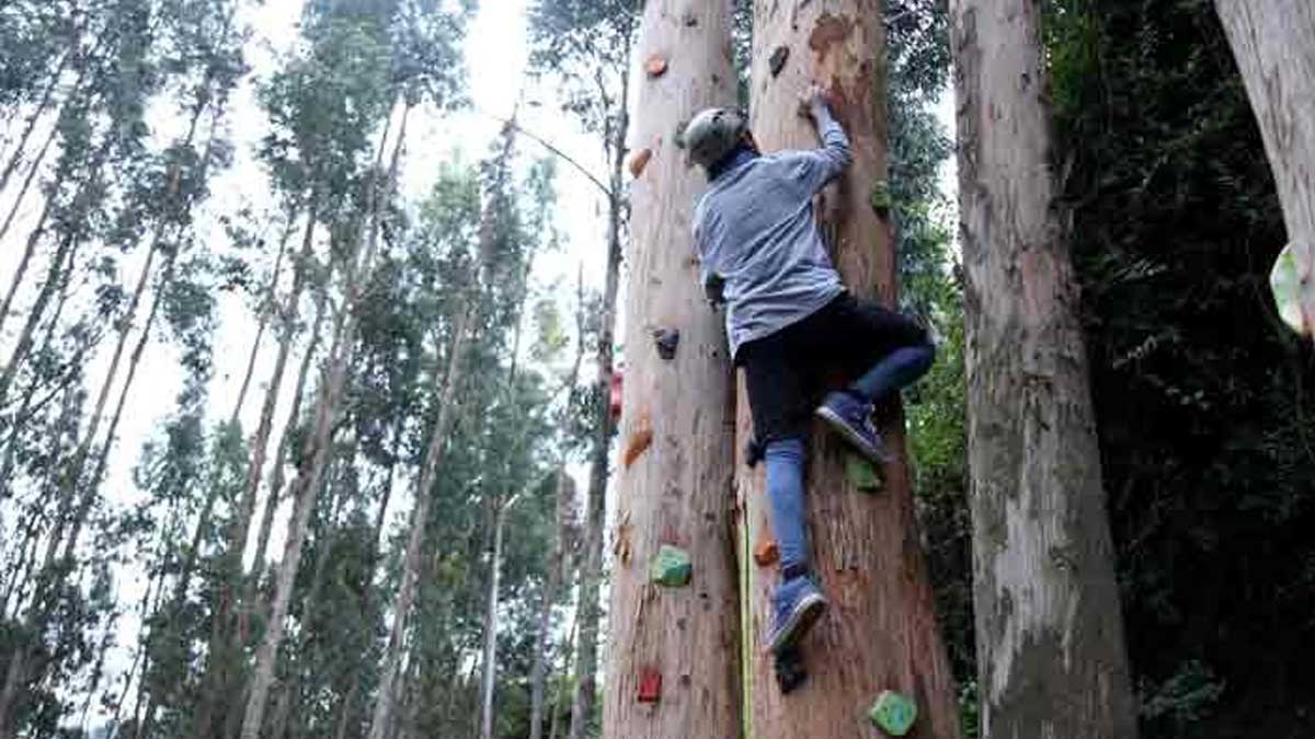 PROMOCIONES TURÍSTICAS SE ACTIVARON PARA EL FERIADO DEL 24 DE MAYO